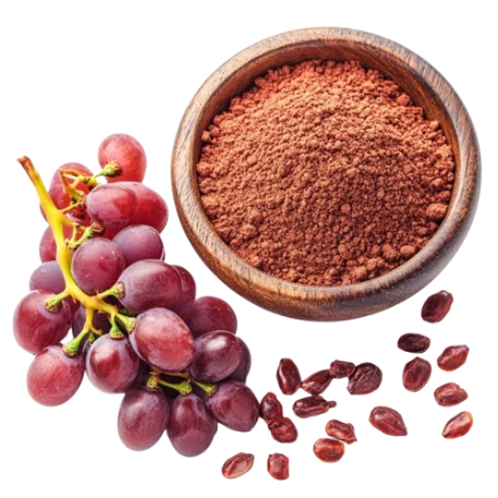 Rhodiola Ingredient